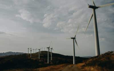 Driving Sustainability: Integrating Energy Efficiency in Commercial Buildings